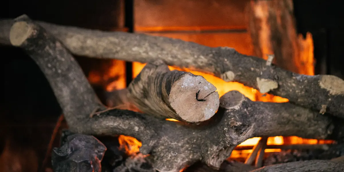 Bûches qui brûlent dans un foyer, flammes vives